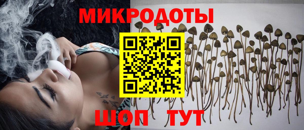 купить наркотик  Галлюциногенные грибы Cubensis  Вход с VPN  Элиста 